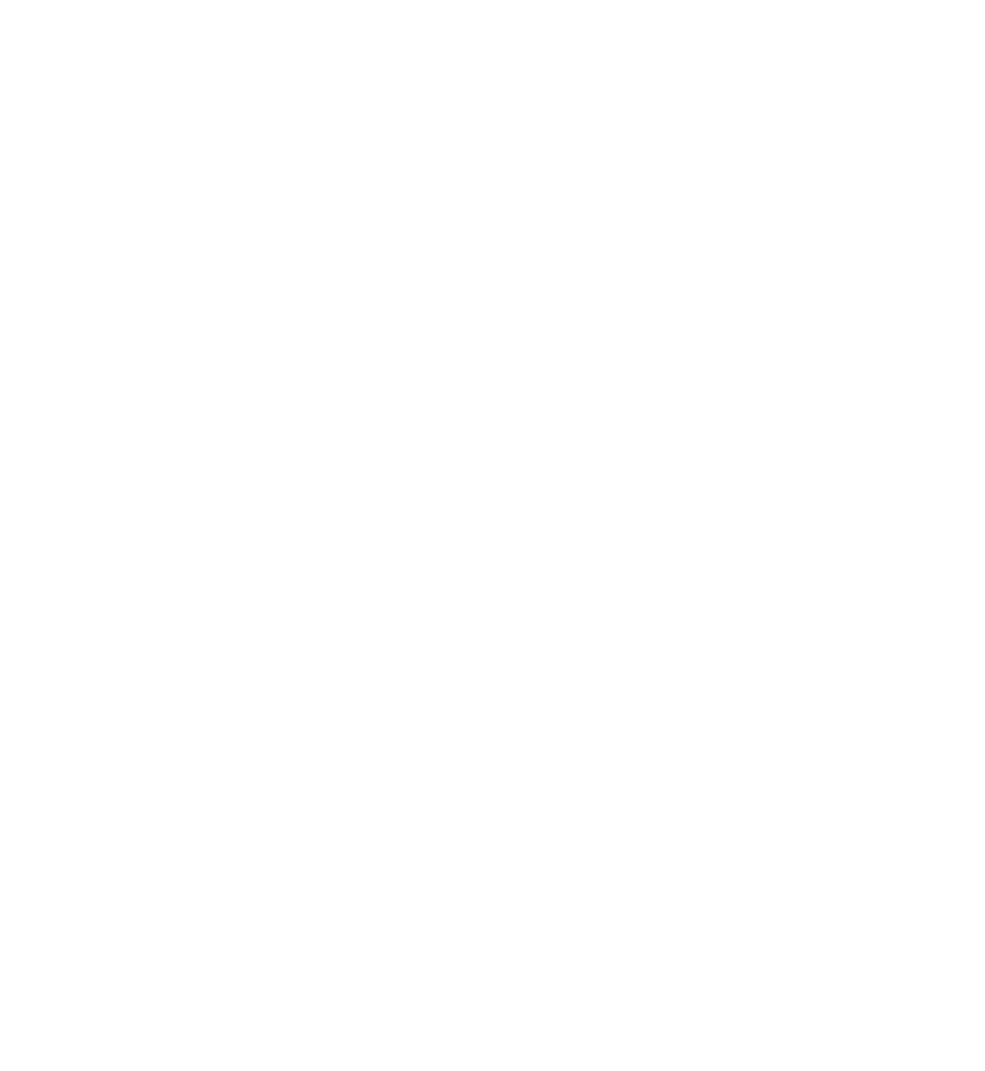 Dual Cat Studio Logo
